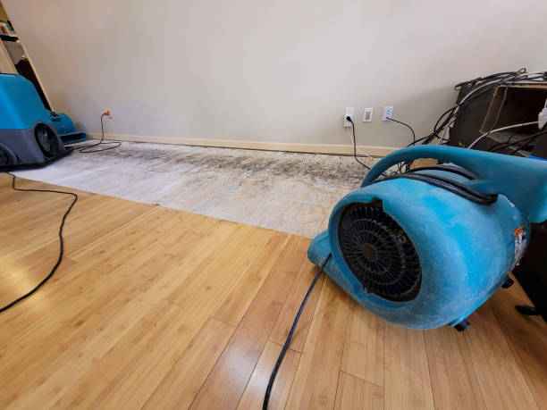 Reliable Emergency Water Removal contractor in Brownsville, PA by Hirex Water Damage